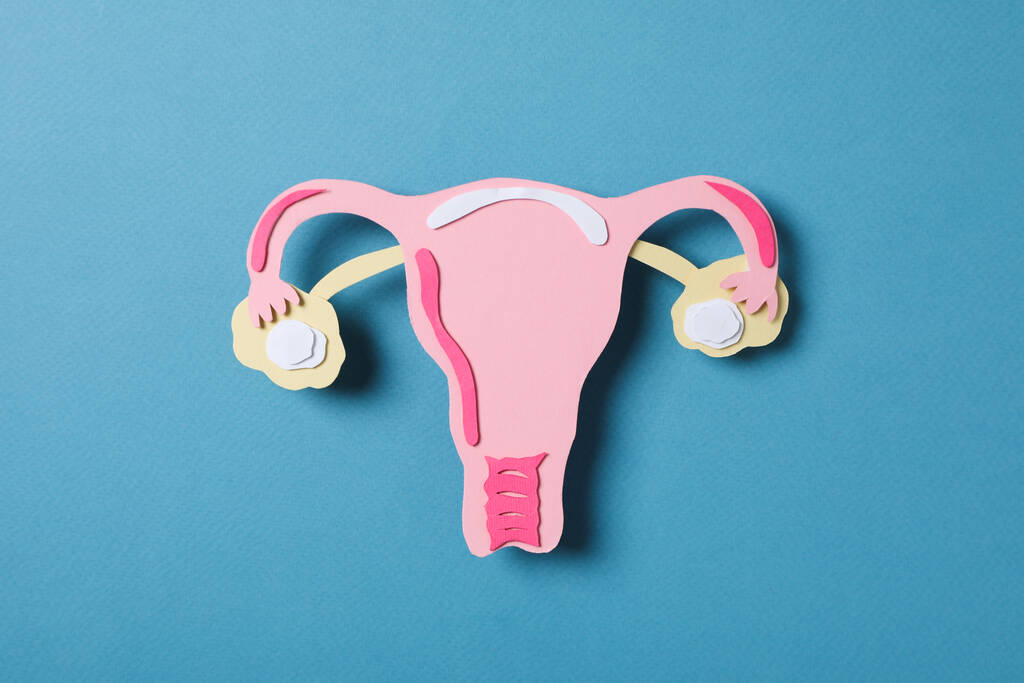 Lead image for Sexual Health Victoria fights period and pelvic pain stigma with a new school initiative