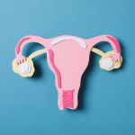 Sexual Health Victoria fights period and pelvic pain stigma with a new school initiative icon