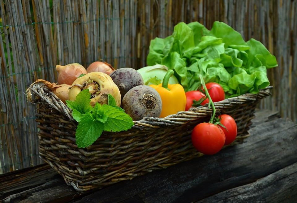 Lead image for Long term high-fat diet expands waistline and shrinks brain