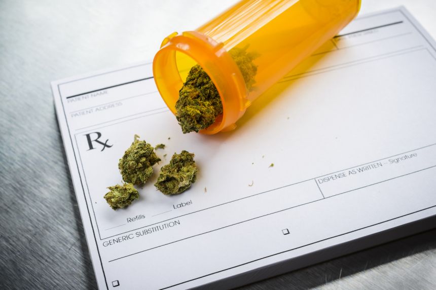 Guild backs AHPRA’s medicinal cannabis crackdown icon