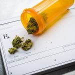 Guild backs AHPRA’s medicinal cannabis crackdown icon