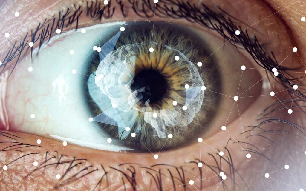 Lead image for Mind blindness decoded: people who can’t see with their ‘mind’s eye’ still activate their visual cortex, study finds