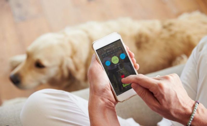 Would you hand over your health data if it meant better care? icon