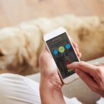 Would you hand over your health data if it meant better care? icon