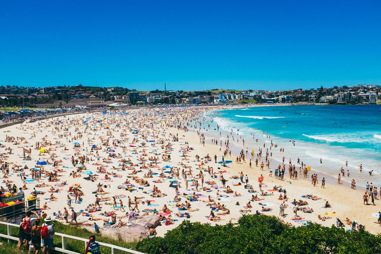Lead image for PGA leaders visit Bondi pharmacies following December’s attack