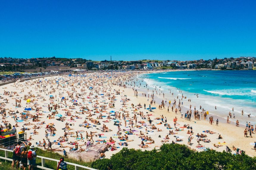 PGA leaders visit Bondi pharmacies following December’s attack icon