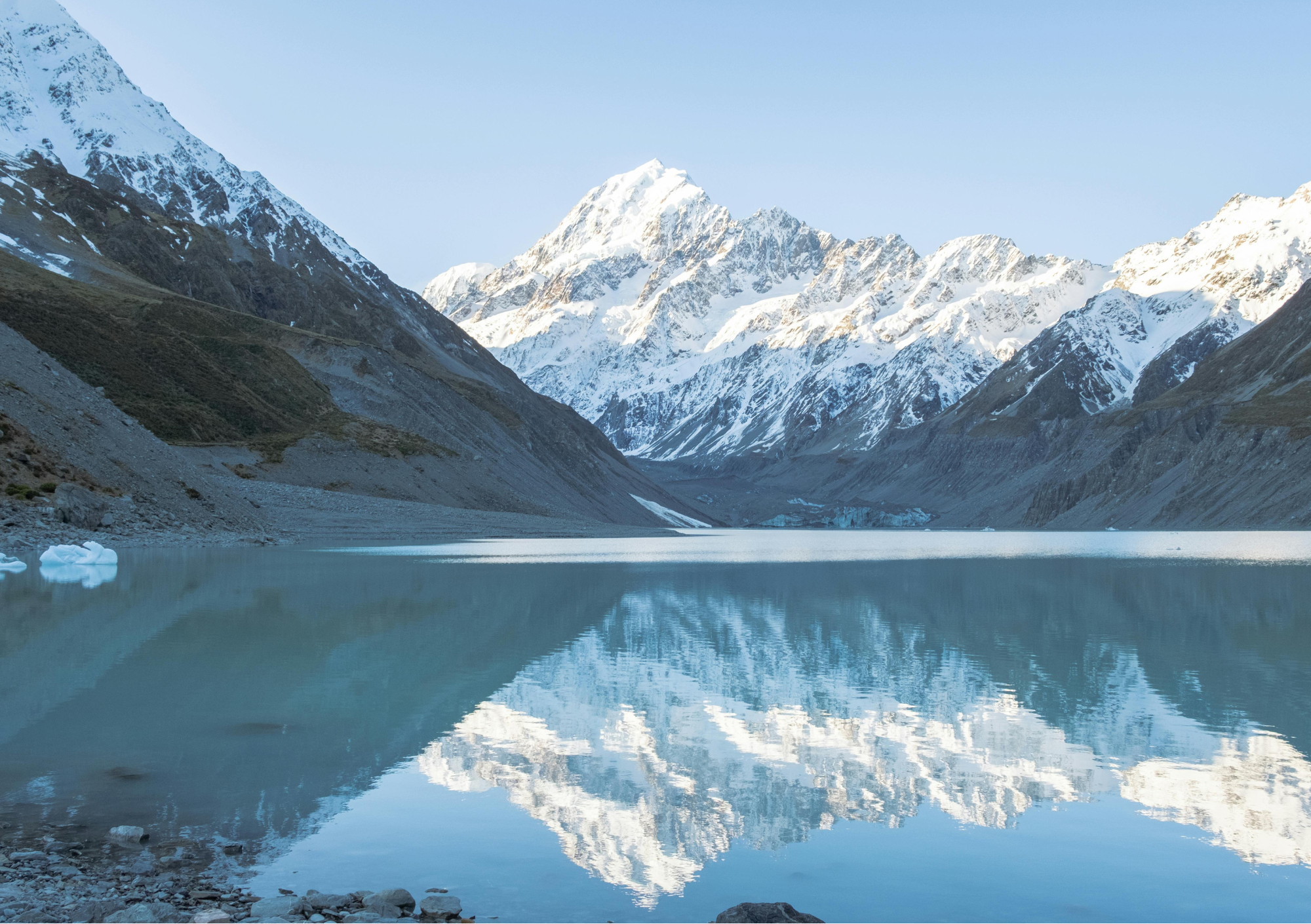 Lead image for From red tape to real care: Rethinking New Zealand’s health regulation