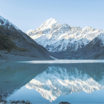 From red tape to real care: Rethinking New Zealand’s health regulation icon